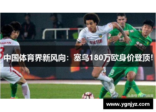 中国体育界新风向:塞鸟180万欧身价登顶!